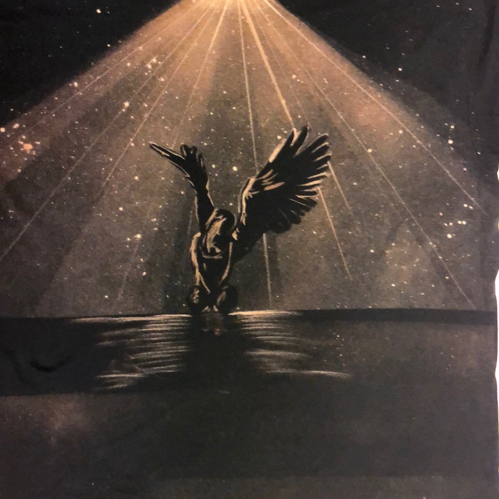Handmade bleach painted. Beautiful angel with light rays